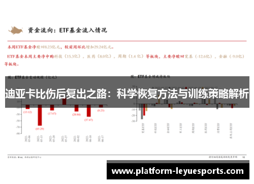 迪亚卡比伤后复出之路:科学恢复方法与训练策略解析 迪亚卡比伤后复出之路:科学恢复方法与训练策略解析