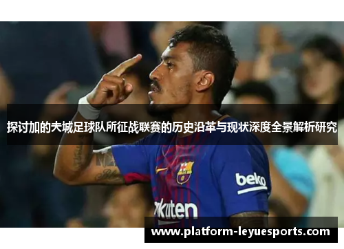 探讨加的夫城足球队所征战联赛的历史沿革与现状深度全景解析研究