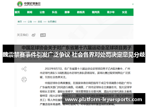 魏震禁赛事件引发广泛争议 社会各界对处罚决定意见分歧