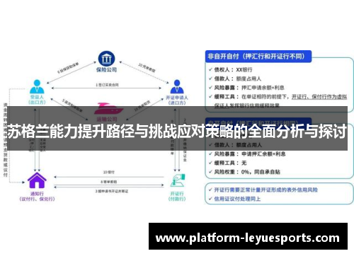 苏格兰能力提升路径与挑战应对策略的全面分析与探讨