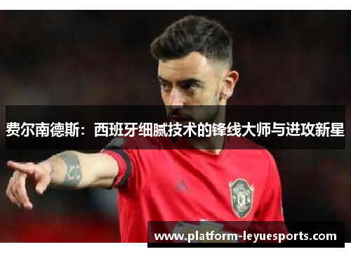 费尔南德斯：西班牙细腻技术的锋线大师与进攻新星